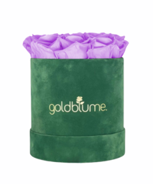 Colección Terciopelo Verde