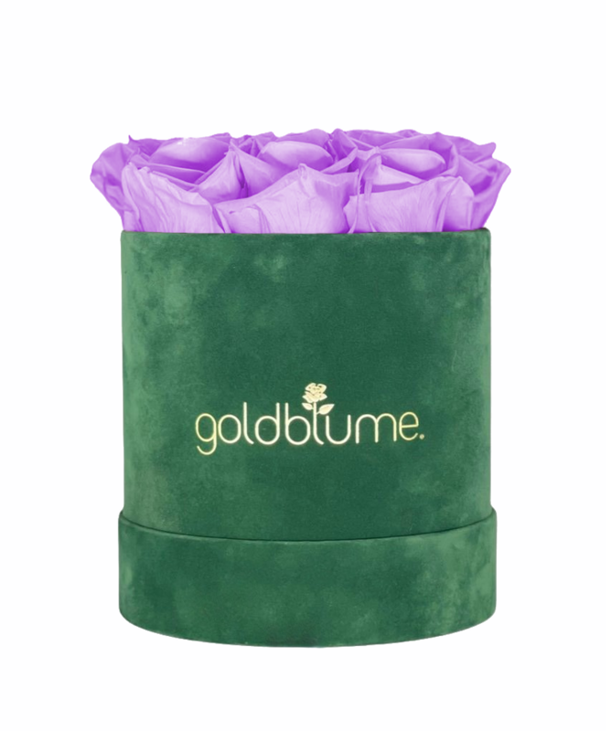 Colección Terciopelo Verde