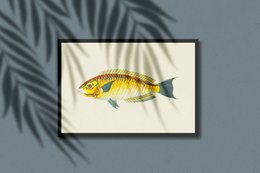 Gul fisk