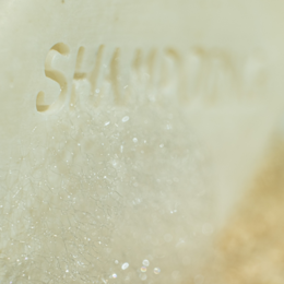 SOLIDE SHAMPOO VOOR NORMAAL HAAR 70G