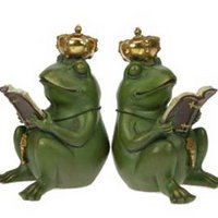 Kikkerkoning boekensteun set van 2