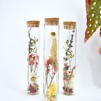 Droogbloemen buisjes - 15 cm