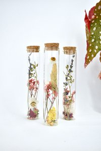 Droogbloemen buisjes - 15 cm