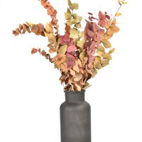 Eucalyptus - Herfst Mix - droogbloemen