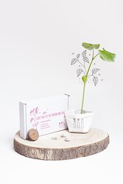 A potted plant with green leaves and a wooden plaque that says "Love You To The Moon And Back". The plant appears to be a small, decorative houseplant.