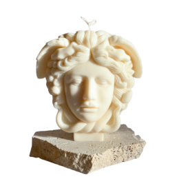 Unique jellyfish-shaped candle with intricate, sculptural design. Made of high-quality wax, this candle features a detailed Medusa-inspired face and flowing tentacles. Ideal for adding a touch of whimsy and elegance to any space.