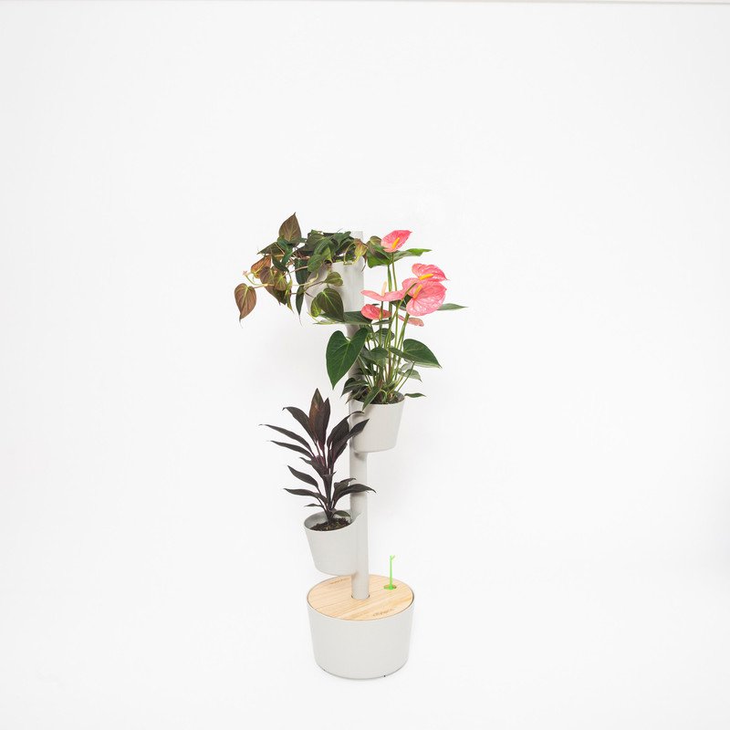 Zelfbewegende Verticale Plantenbak 3 potten