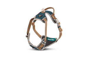 Hondentuigje "Rocket"