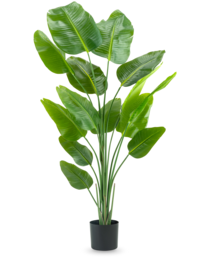 Planta artificial Strelitzia 180 cm tacto real