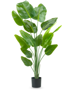 Kunstplant Strelitzia 180 cm real touch