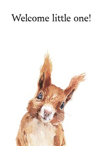 Sustainable card squirrel