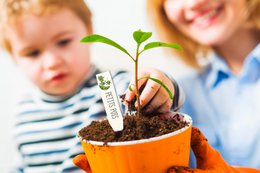 ZESTAW KURCZĄCY PLASTIK ETYKIETA WARZYWNY OGRÓD