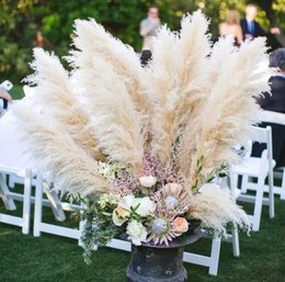 Fluffy, cream-colored pampas grass in a decorative vase, suitable for use in home decor or as a wedding centerpiece.