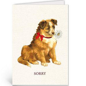 NBA081 - Entschuldigung