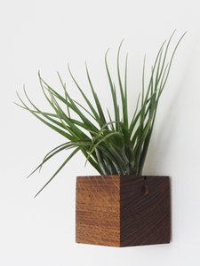 Würfel – Dunkle Eiche