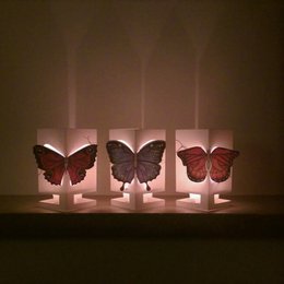 CARDLE Butterfly Orange (Heller Schmetterling) - Kerzenhalter-Grußkarte