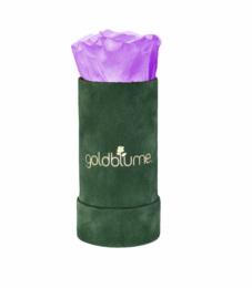 Colección Terciopelo Verde
