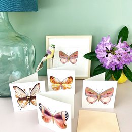 Colorful butterfly postcards featuring various butterfly species in vibrant hues. The postcards showcase the delicate beauty and intricate patterns of these winged insects.
