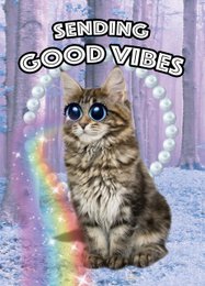 A fluffy gray cat with large eyes sits in front of a colorful background with the text "Sending Good Vibes" on the image.