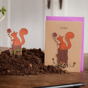 Saatstecker-Karte - Danke - Eichhörnchen