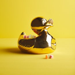 Hr. Ugly Duckling Small & Large