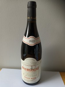 Burgunder Pinot Noir Rotwein Domaine Pierre Gonzalez