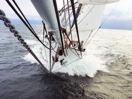 Café de vela, 250g, granos enteros, orgánico