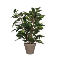 Kunstplant Ficus natasja Groen