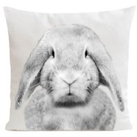 Rabbit cushion, Grizou