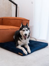 Madras "Soft" til en hund og en kat - genbrugt