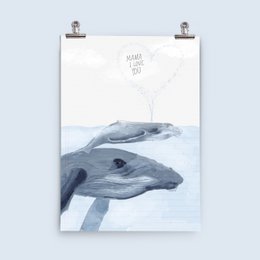 Affiche - Walvissen