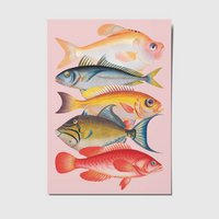 Fish - A6 postcard