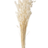 J-Line dryflows – Bundle Plume Hazentail – Ride – Ecru – groß