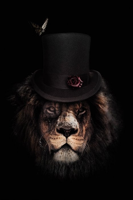 Classy Lion