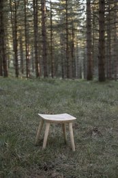 Rustic wooden side table in a forest setting, featuring a simple, natural design with a rectangular top and four straight legs.