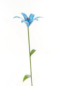 ZIMBA-ARTS METALEN BLAUWE LELIEBLOEM