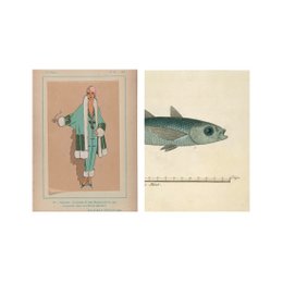 Postcard collage Museum-collectie - dame vis blauw