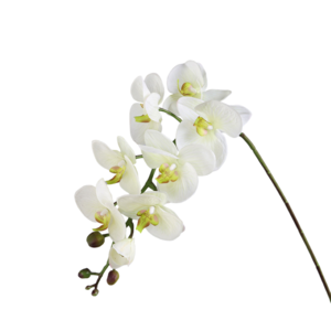 Witte orchidee decoratieve bloem h100cm