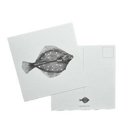  Plaice card featuring a detailed illustration of a plaice fish. The card is part of the "Cards with Pictures" category.