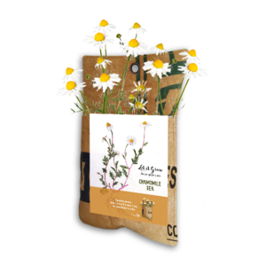 Let it Grow Hängender Garten – Kamille