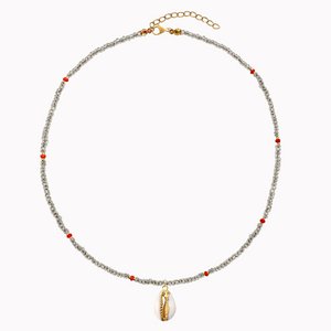 Necklace Shell