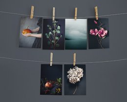 Postkort mørk hortensia (PK_064)