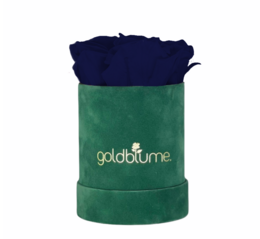 Colección Terciopelo Verde