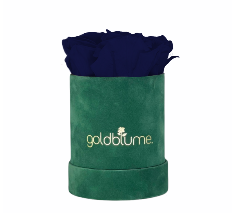 Colección Terciopelo Verde