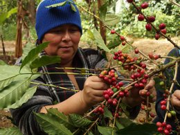 Bio-Espresso-Blend Nicaragua/Tansania, 250g, ganze Bohne