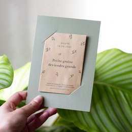 Carta di supporto - Verde oliva e avorio