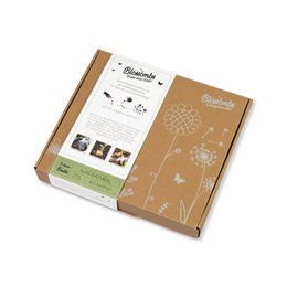  Medium gift box containing 9 assorted seed bombs in various colors.