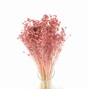 35 stelen Gedroogd Linnen Lichtroze