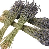 Gedroogde lavendel - naturel droogbloemen