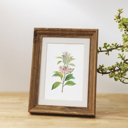 Botaniczny Art Print Mix x16 | Vintage ilustracja kwiat | Dekoracje ścienne